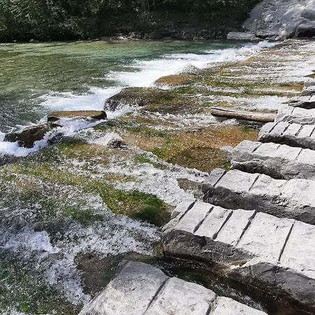 Karibu * Imola